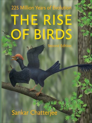 cover image of The Rise of Birds